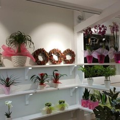 Reformas de instalaciones